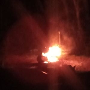 Meet your Posher, Bruce